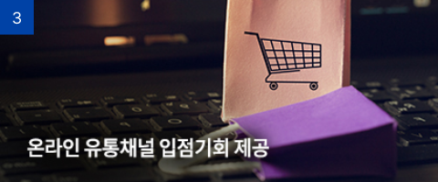 온라인 유통채널 입점기회 제공